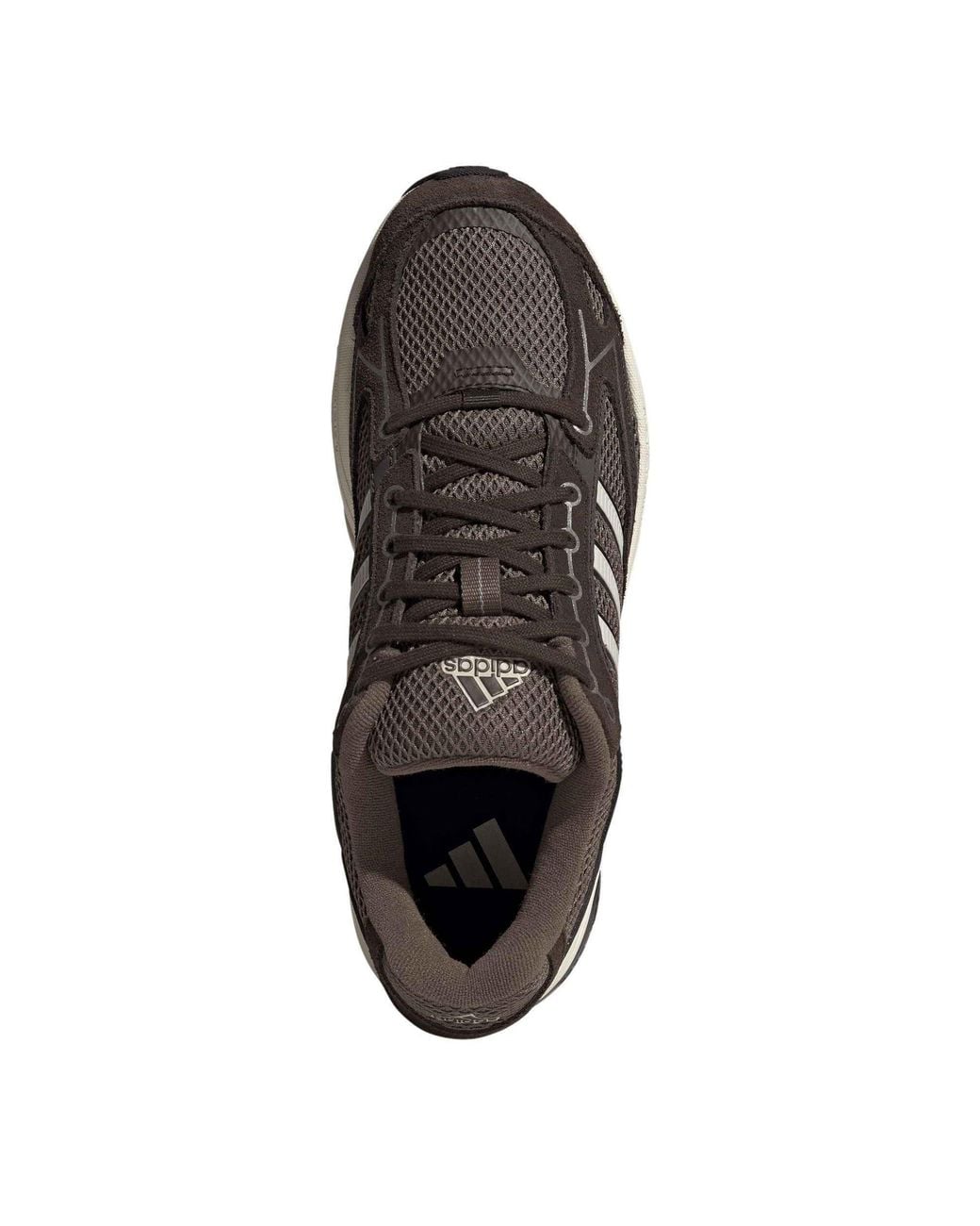 Adidas Brown Spiritain 2000 Trainers