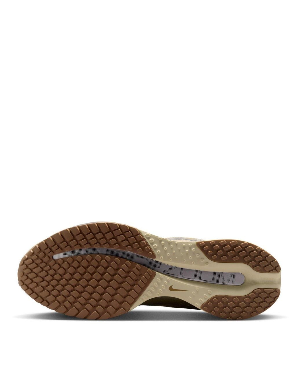 Nike Brown Pegasus Premium Road Running Shoes for men