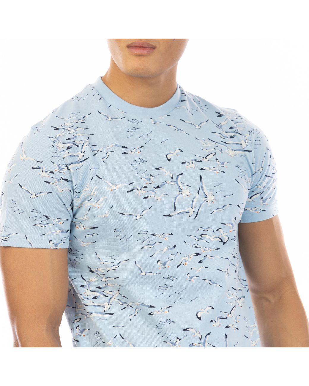 Peter Werth Blue Feather T-Shirt for men