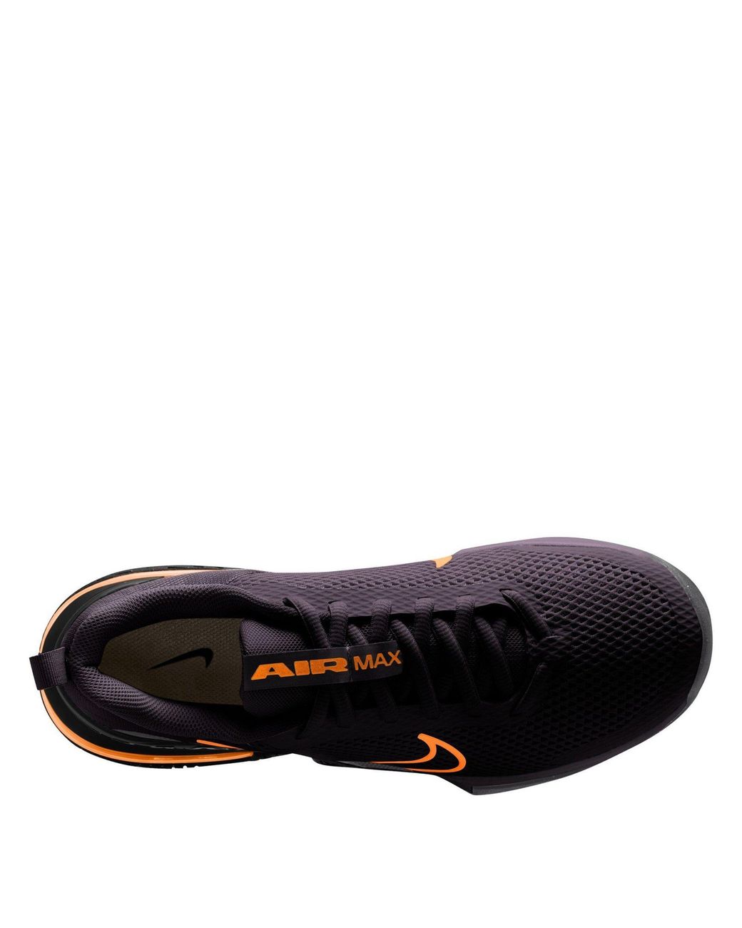 Nike Blue Air Max Alpha Trainer 6 Workout Shoes for men