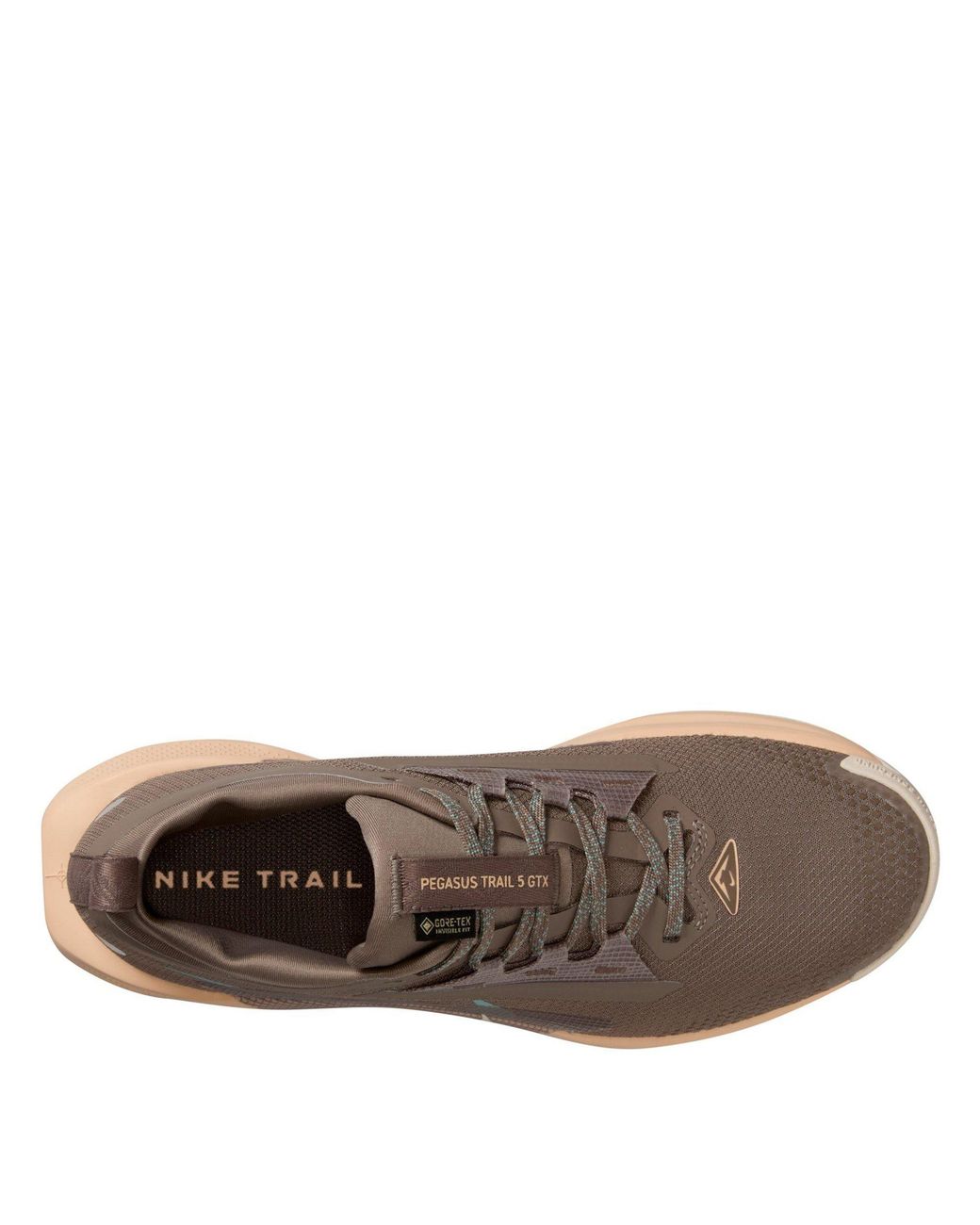 Nike Brown Pegasus Trail 5 Gore-Tex Running Shoes