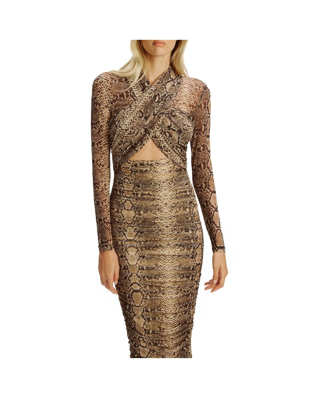 Bardot Brown Aliyah Midi Bodycon Dress