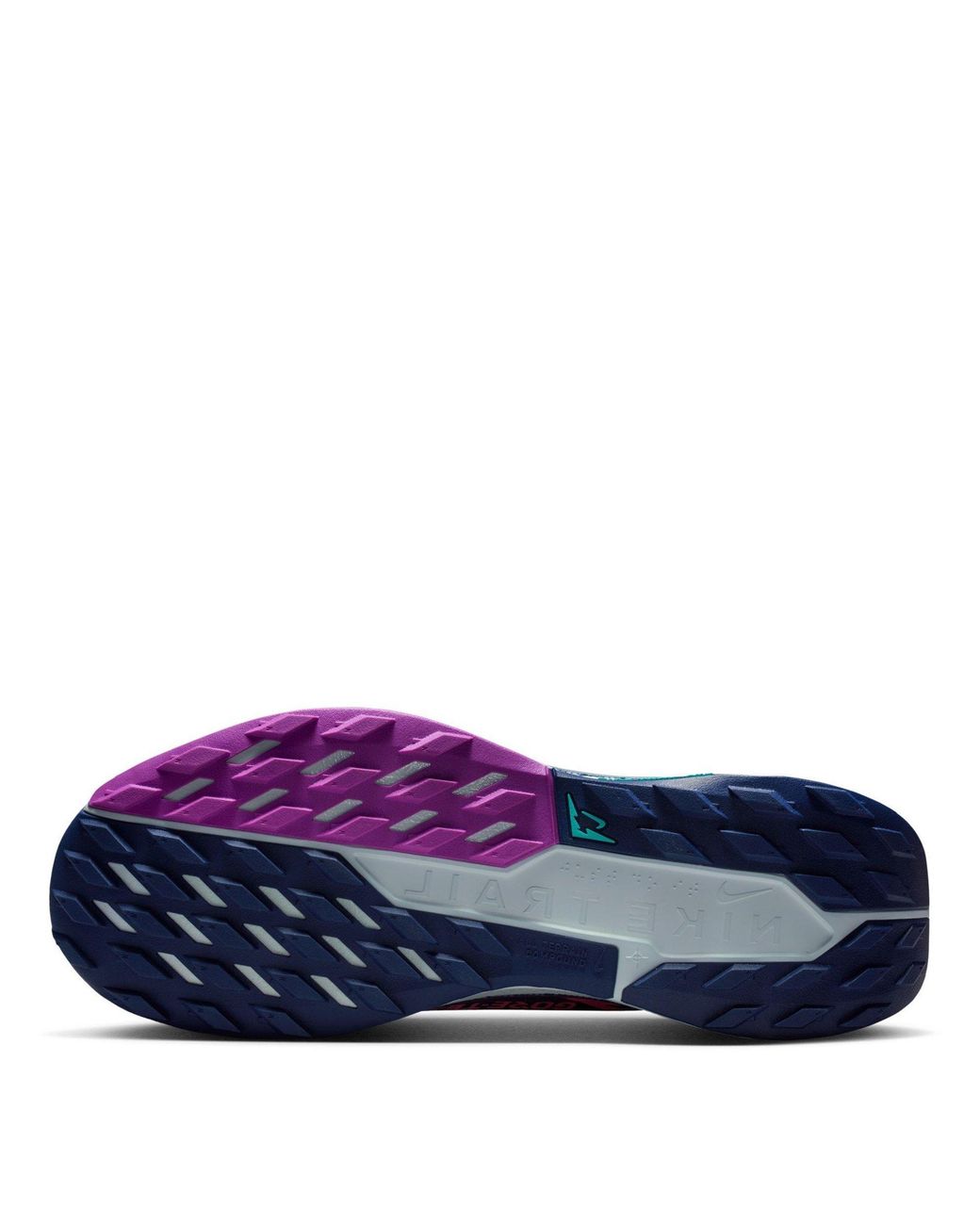 Nike Blue Pegasus Trail 5 Gore-Tex Waterproof Trail Running Shoes for men