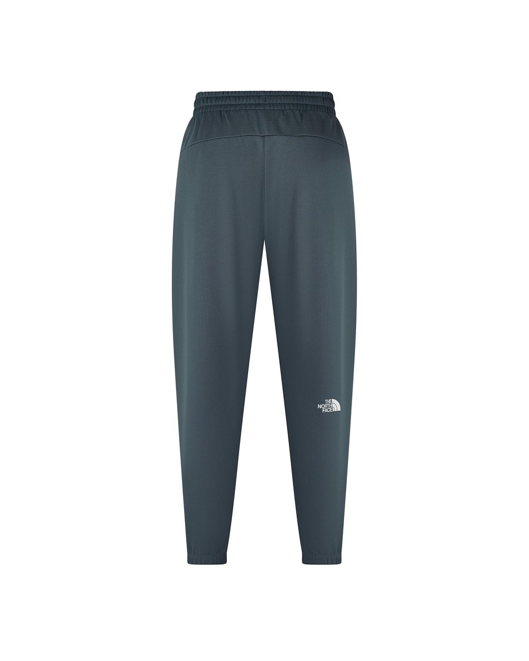 The North Face Blue M Reaxion 2.0 Jogger Tnf Heat Joggers for men