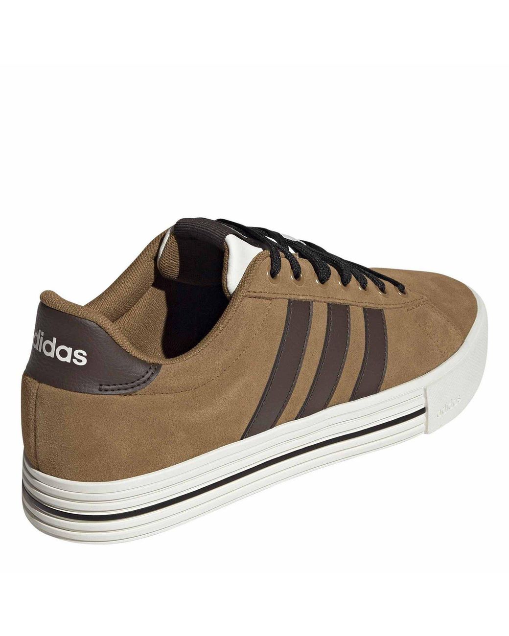 Adidas Brown Daily 4.0 Court Trainers for men
