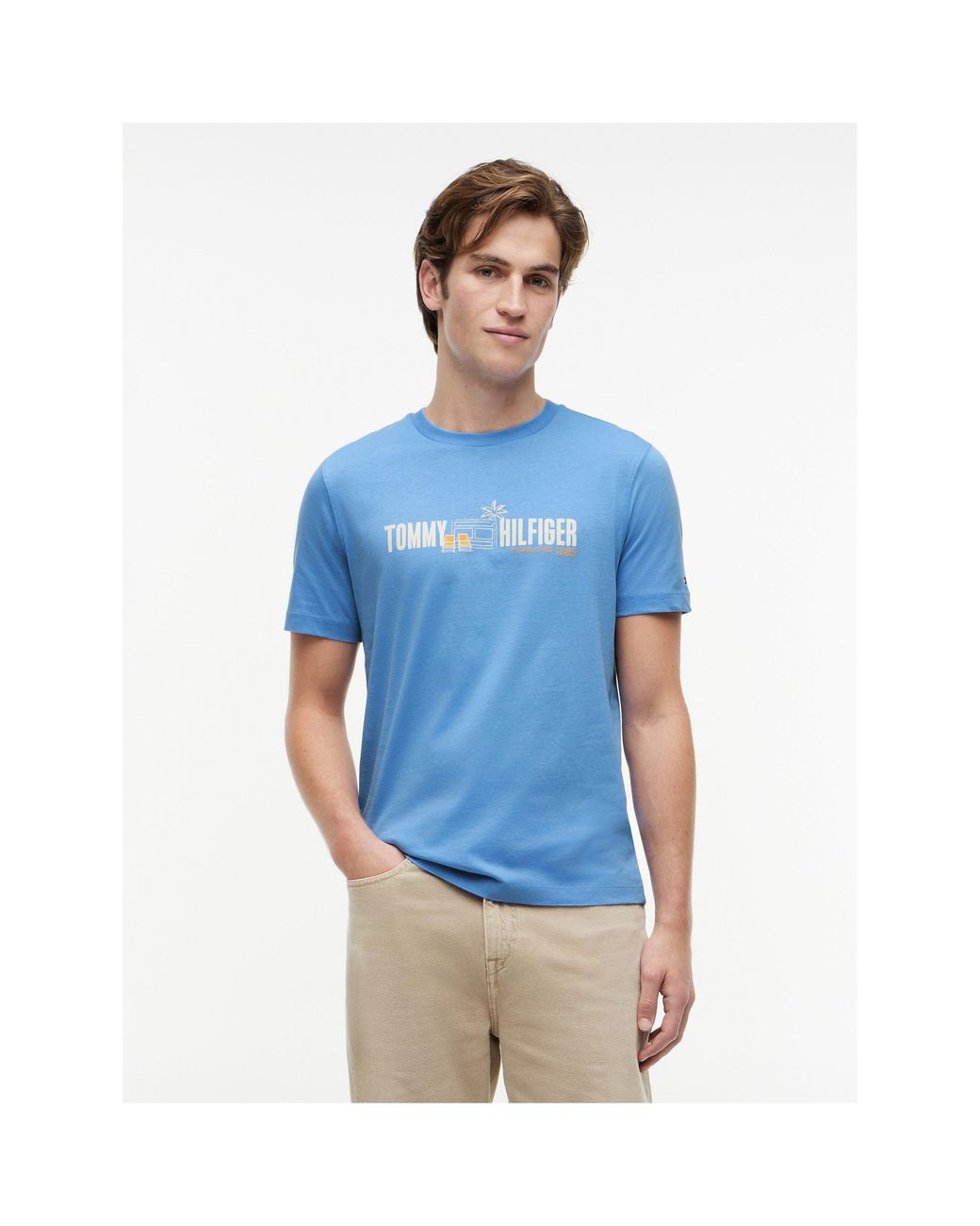 Tommy Hilfiger Blue T-Shirt for men