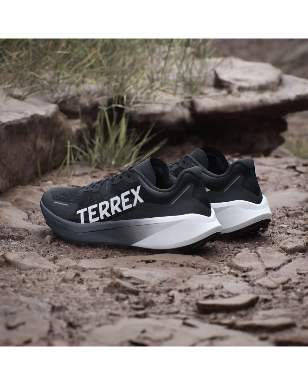 Adidas Black Terrex Agravic 3 Trail Running Shoes for men