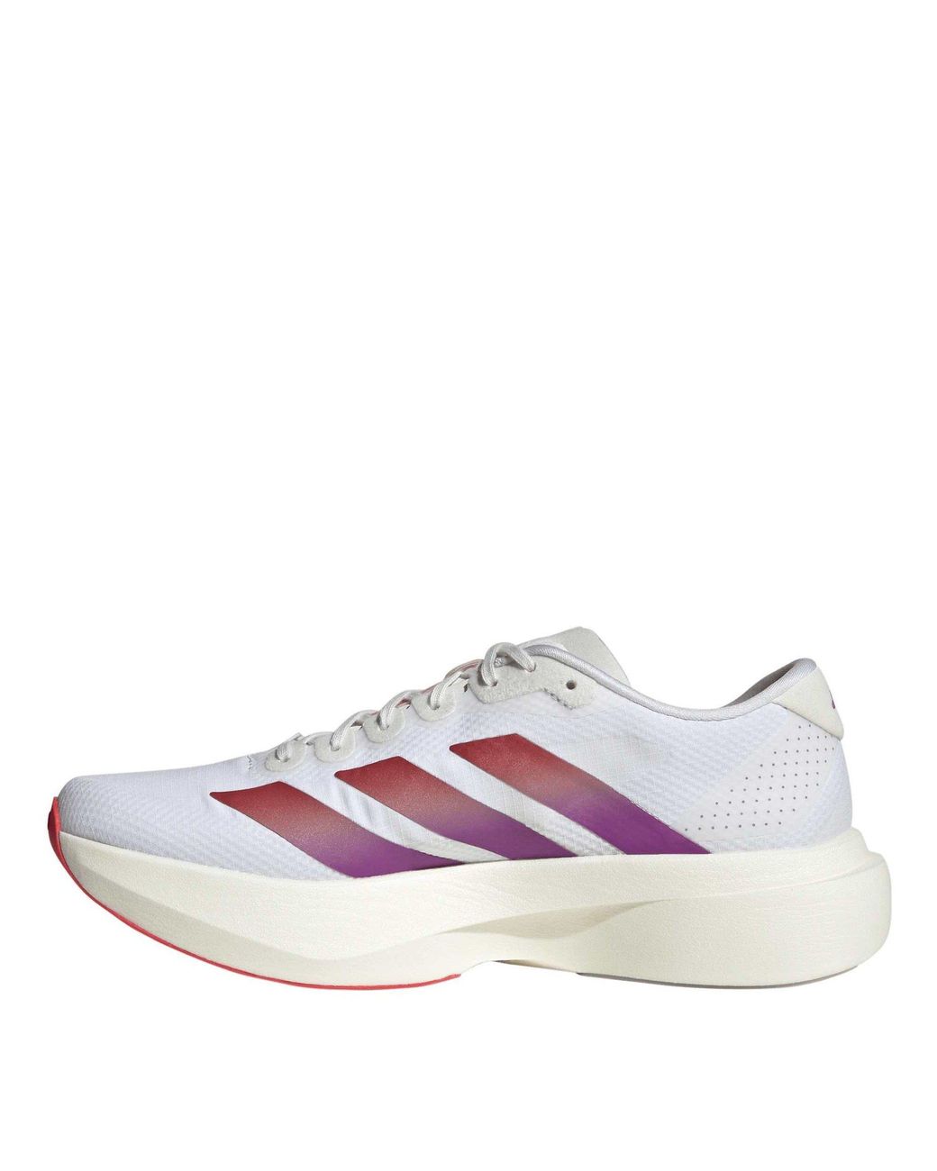 Adidas Purple Adizero Evo Sl Shoes for men