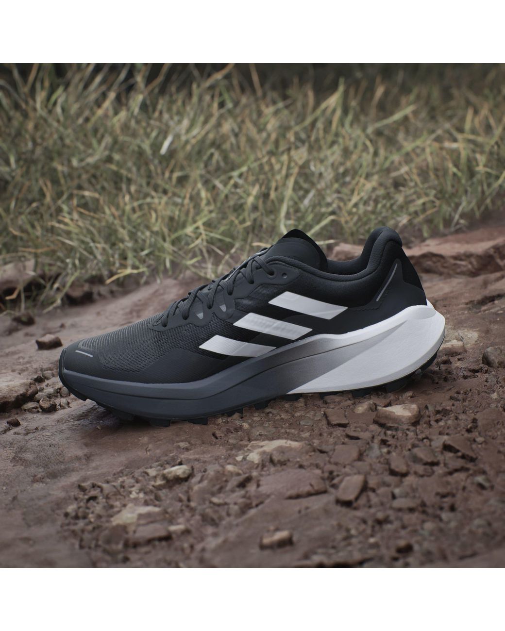 Adidas Black Terrex Agravic 3 Trail Running Shoes for men