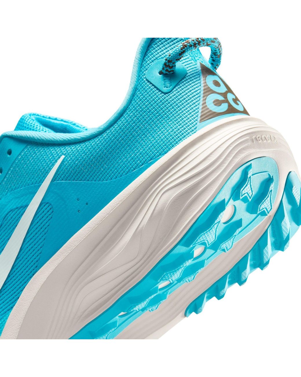 Nike Blue Pegaus 42S Running Shoes for men