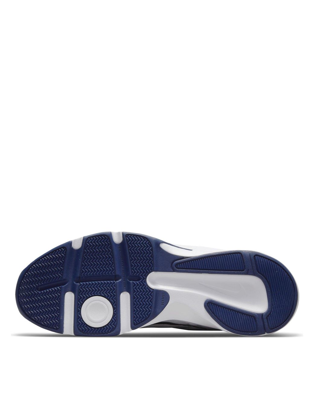 Nike Blue Defy All Day Training Shoe for men