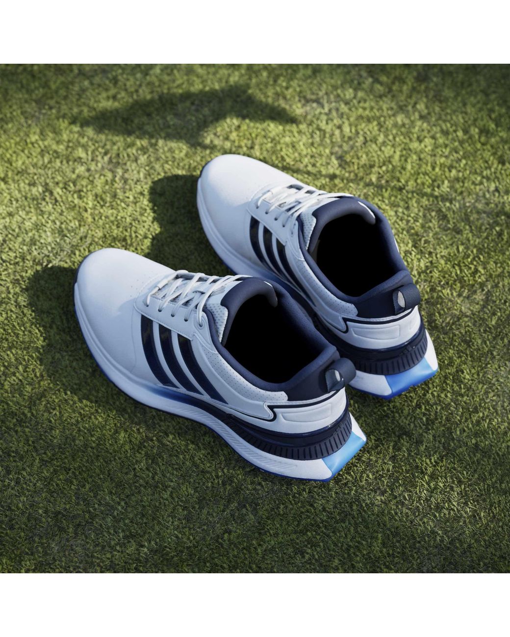 Adidas Blue Spiked Golf Shoes for men