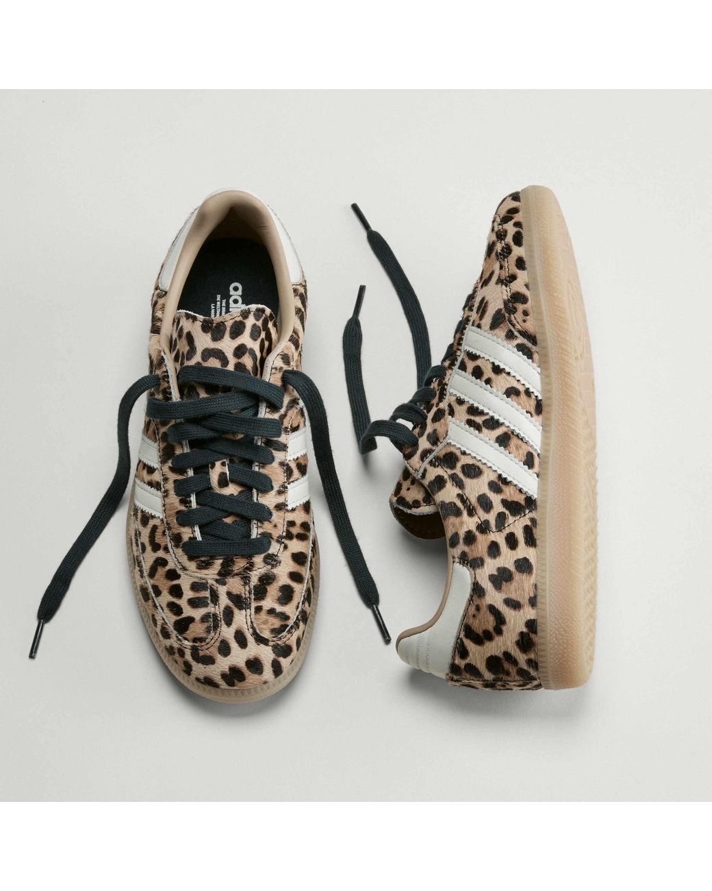Adidas Originals Brown Samba Og Shoes