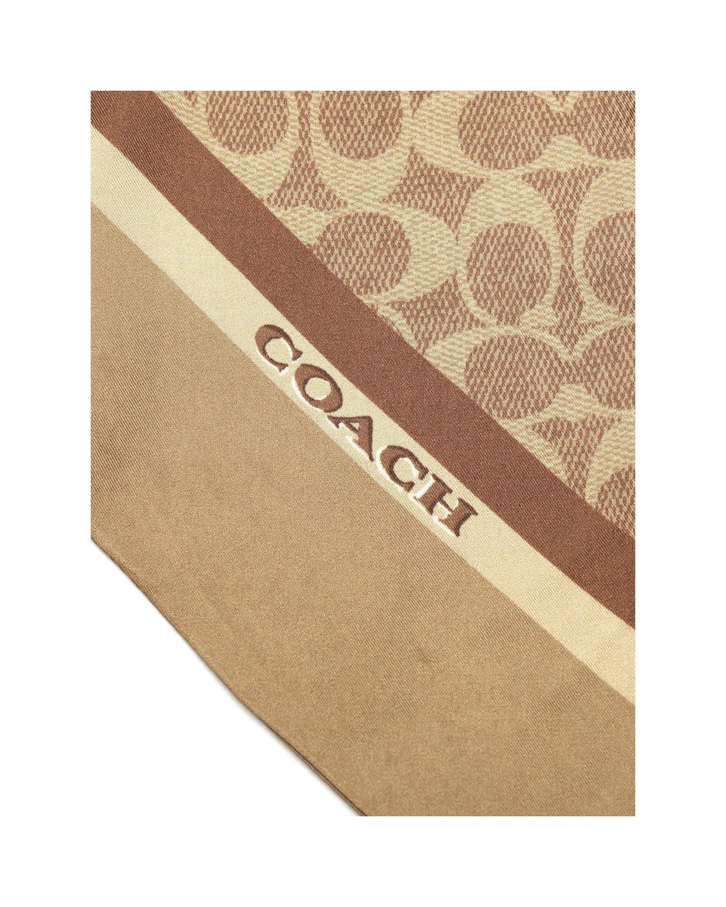 COACH Metallic Stacked Tabby Printed Wide Silk Skinny