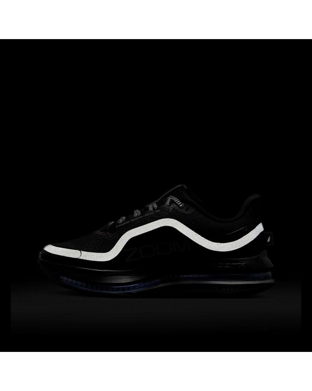 Nike Black Pegasus Premium Trainers