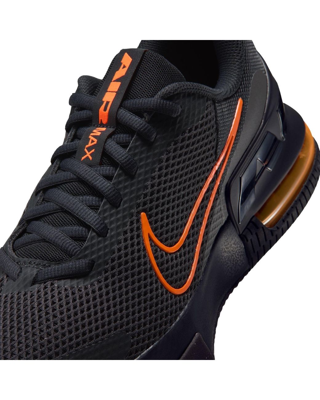 Nike Blue Air Max Alpha Trainer 6 Workout Shoes for men