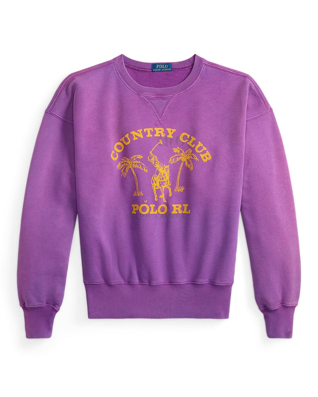 Polo Ralph Lauren Purple Crew Sweatshirt for men