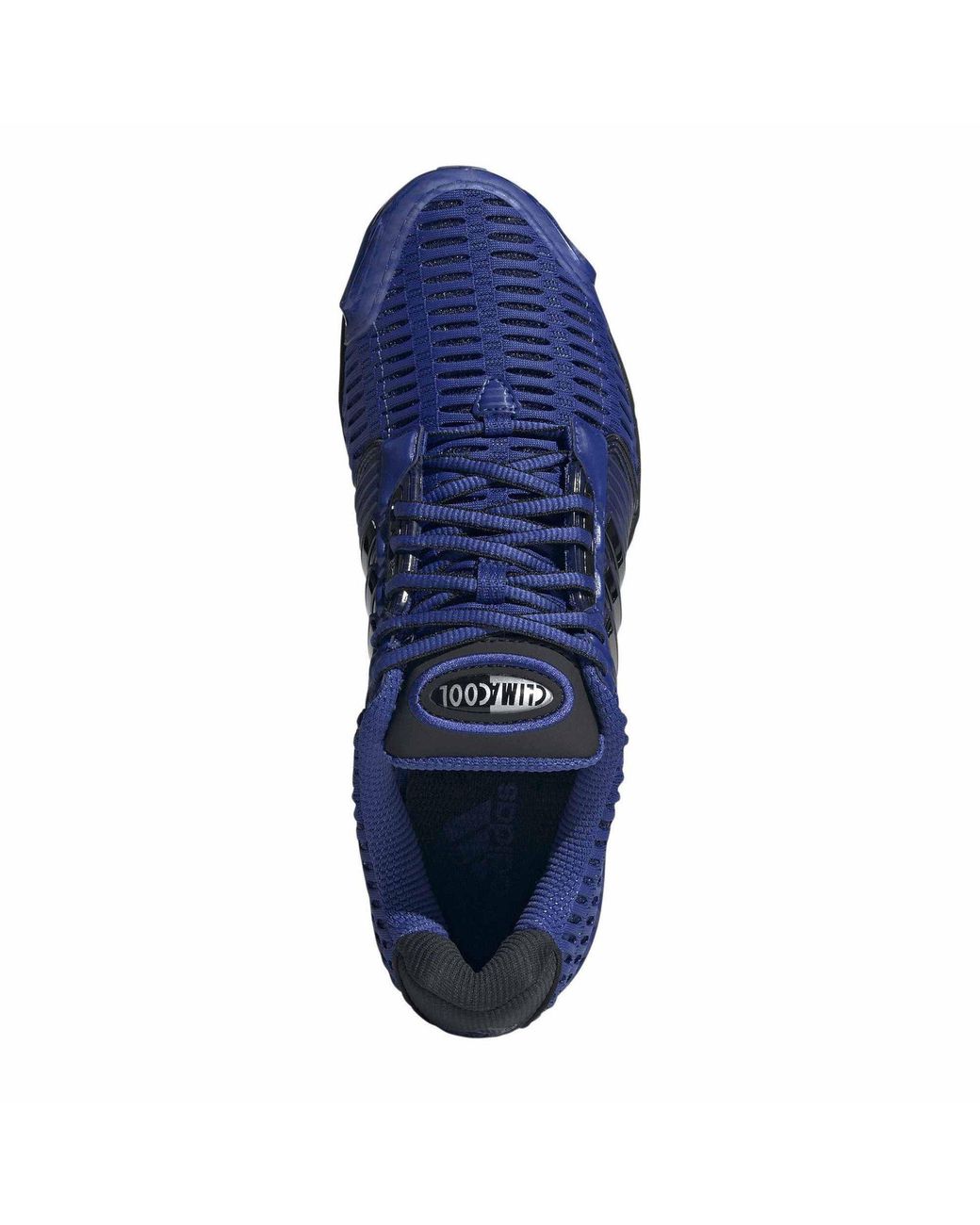 Adidas Blue Climacool 1 Low-Top Trainers for men
