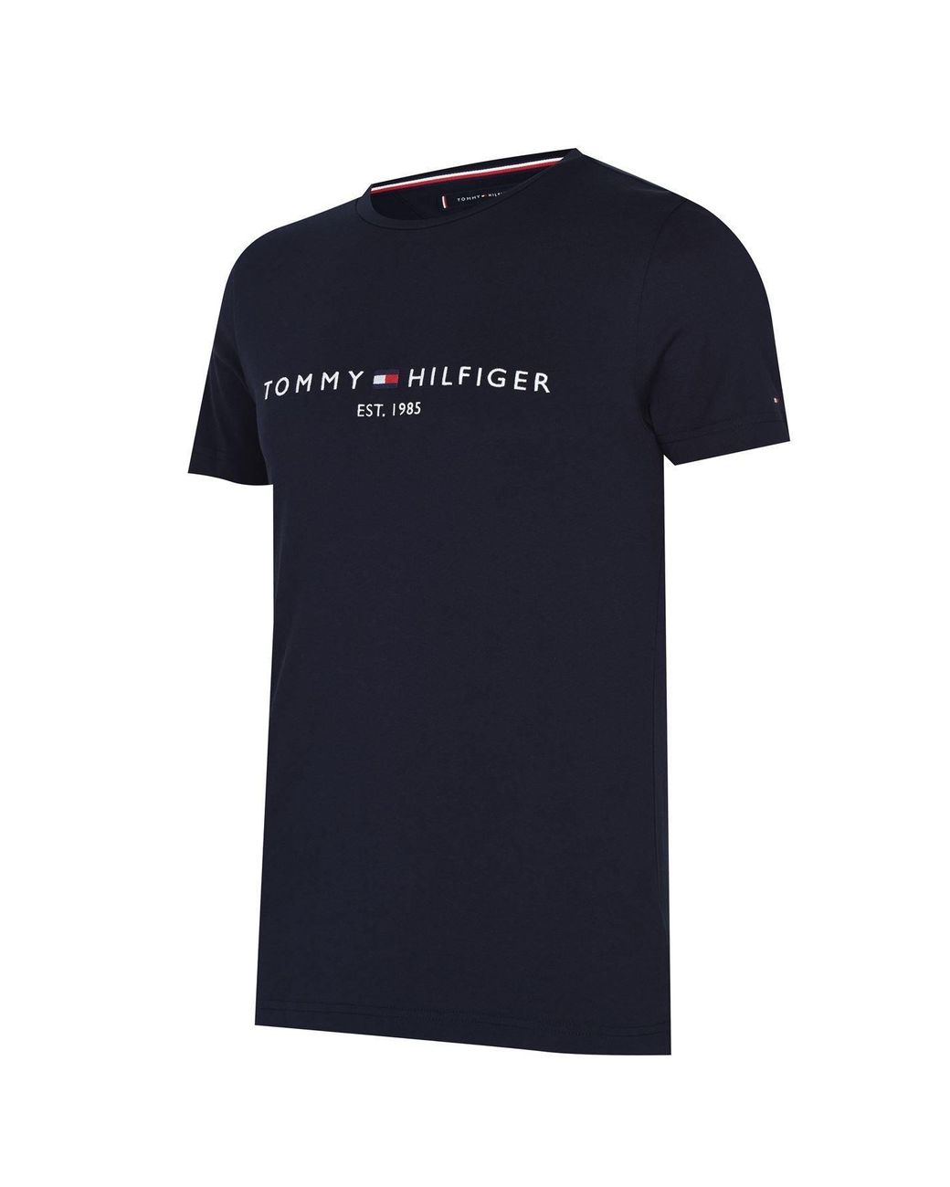 Tommy Hilfiger Blue Logo Crew Neck T Shirt for men