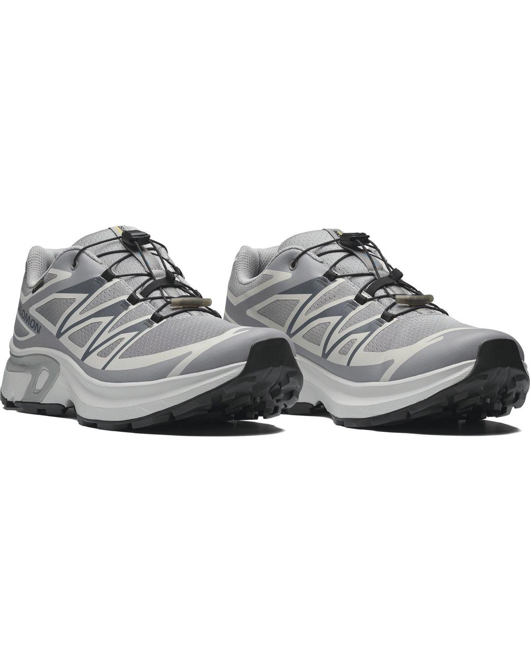 Salomon Gray Xt Evr Gtx for men