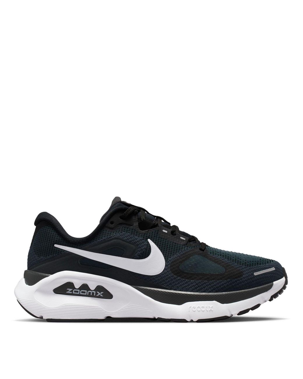 Nike Blue Everyday Running Shoes