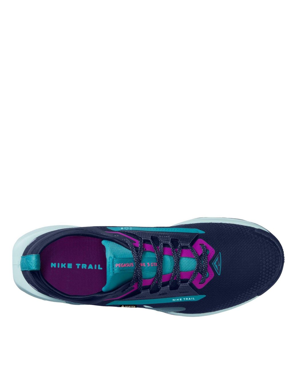 Nike Blue Pegasus Trail 5 Gore-Tex Waterproof Trail Running Shoes for men