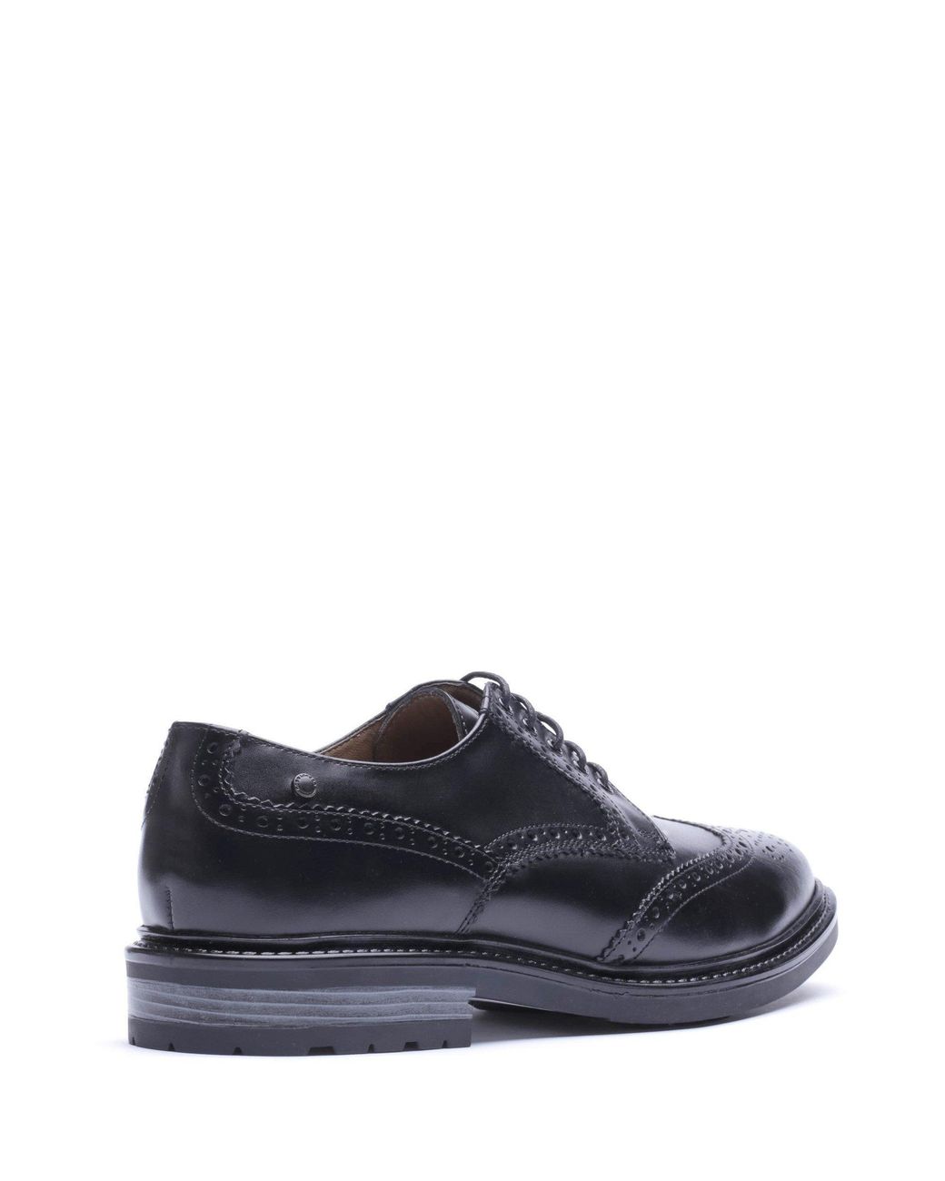 Base London Blue Tanner Leather Brogues for men