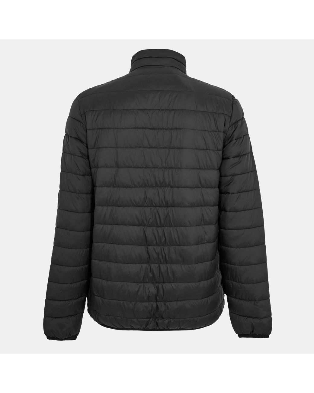 Aquascutum Black Long Sleeve Medium Puffer Jacket for men