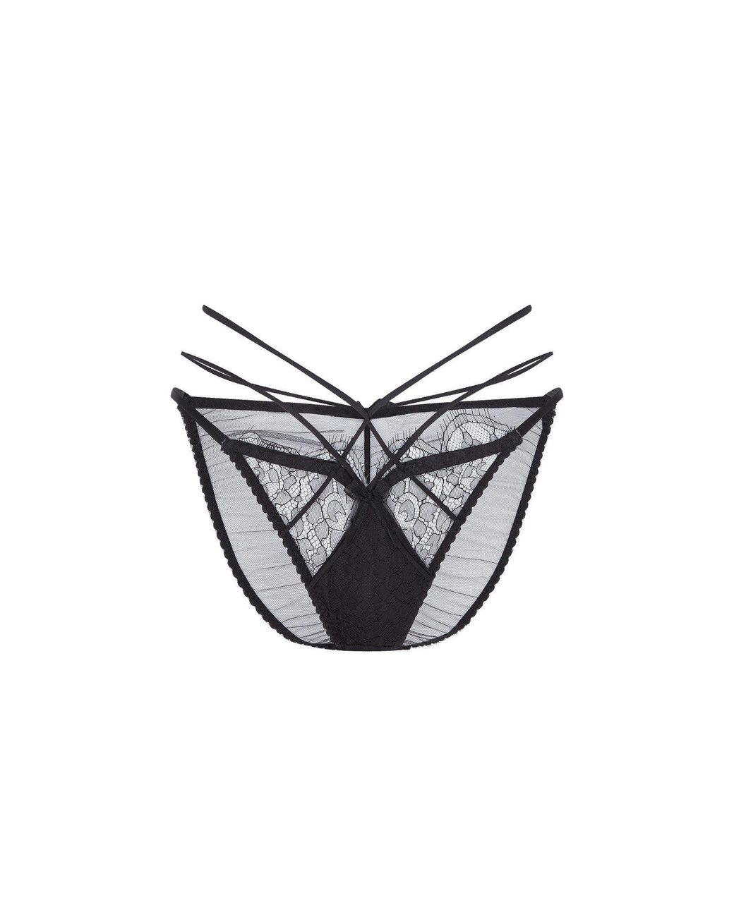 Agent Provocateur Brown Halley Full Brief