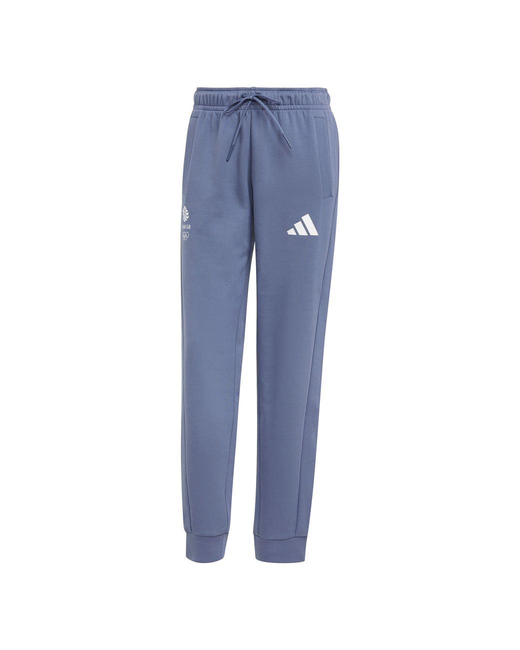 Adidas Blue Fi Reg Pnt Tracksuit Bottom