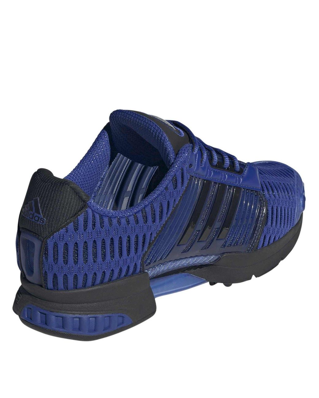 Adidas Blue Climacool 1 Low-Top Trainers for men