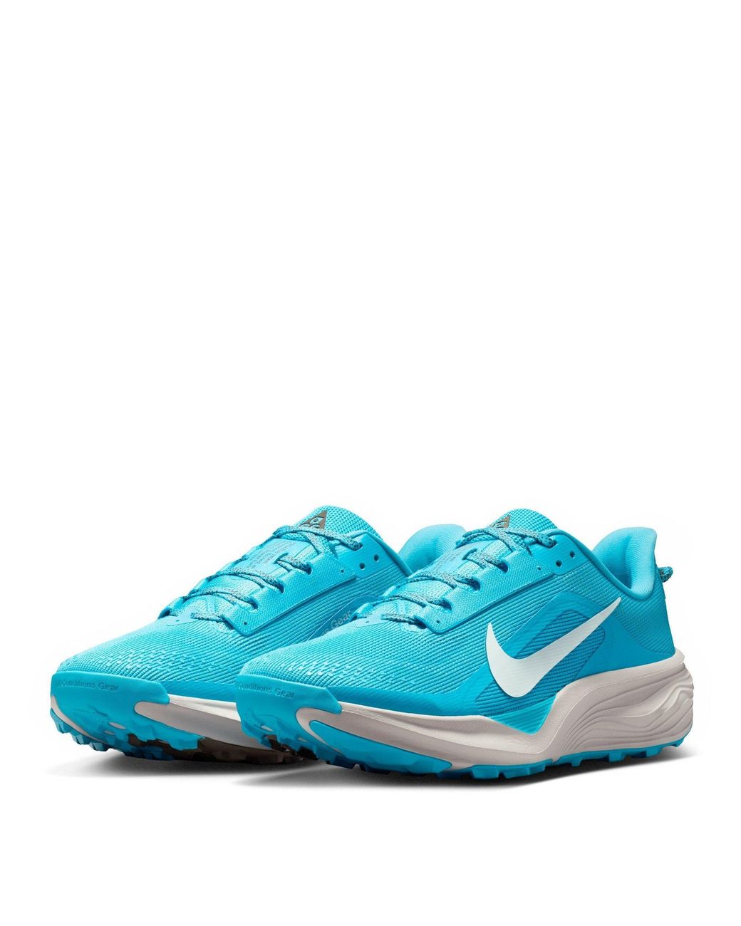 Nike Blue Pegaus 42S Running Shoes for men