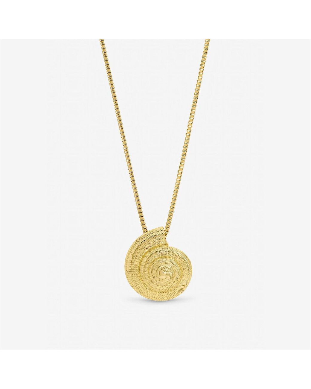 Inicio Metallic Plated Statement Shell Necklace