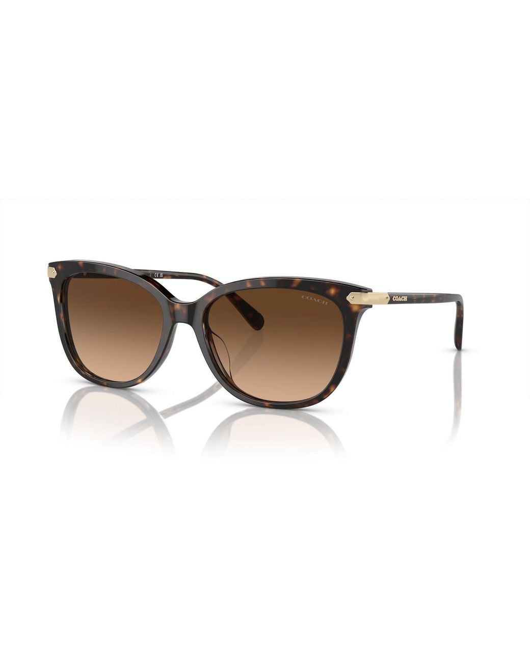 COACH Brown Round Sunglasses