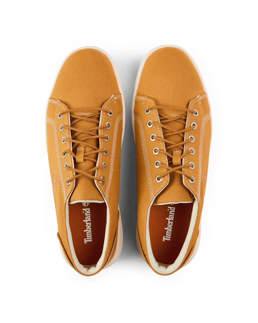 Timberland Brown Seneca Bay Low Top Canvas Sneakers for men