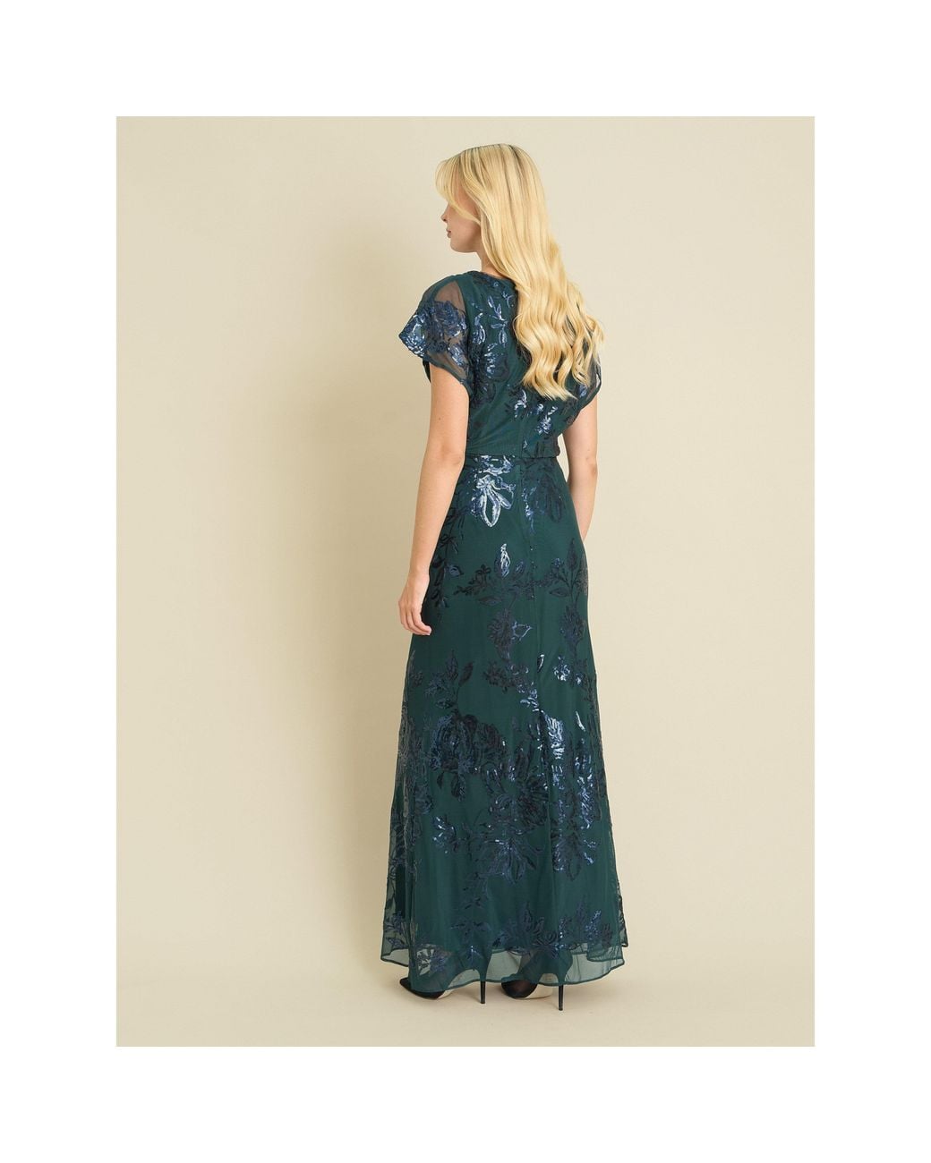 Gina Bacconi Blue Sandi Floral Embroidered Maxi Dress
