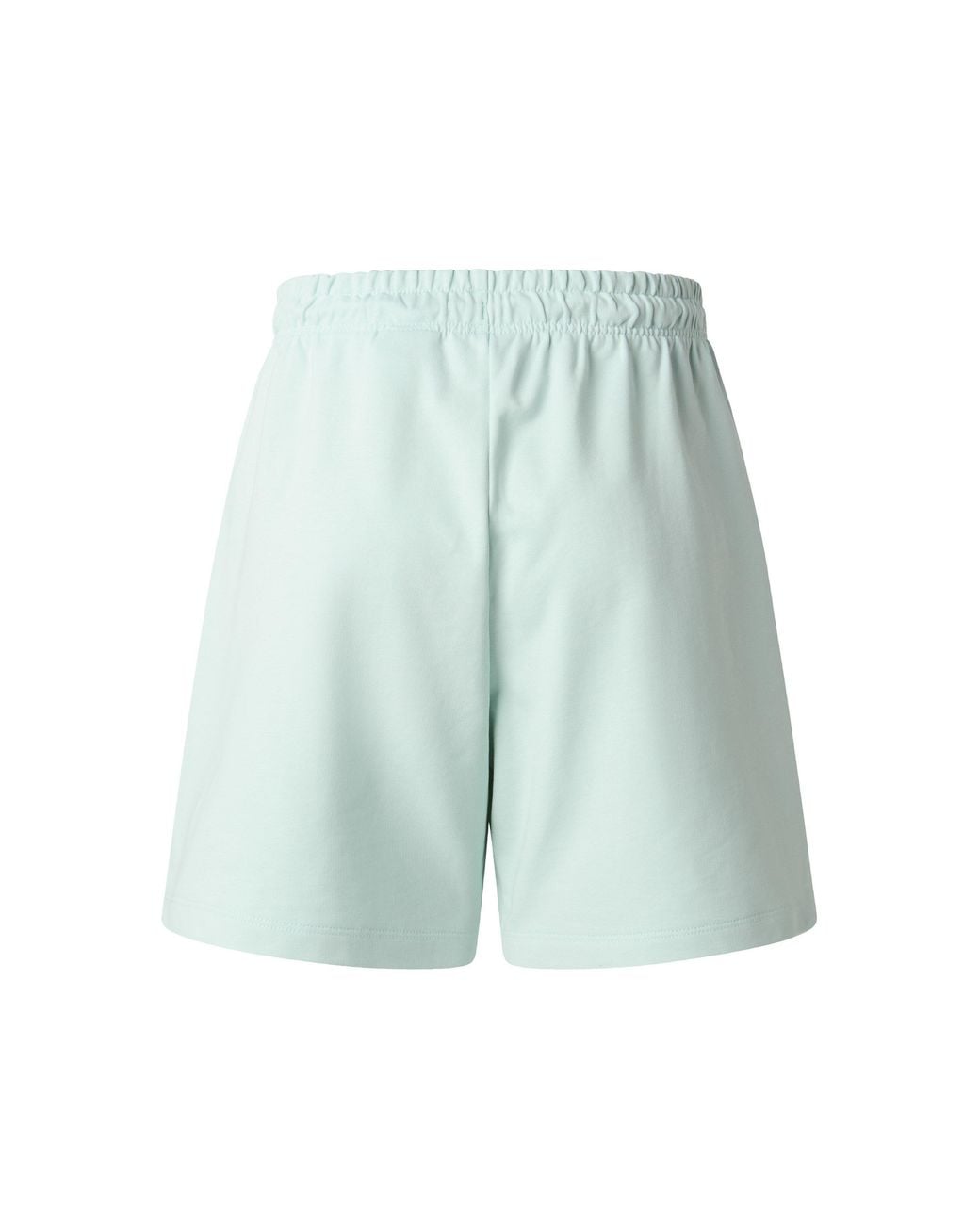 The North Face Blue Tnf Essential Shorts
