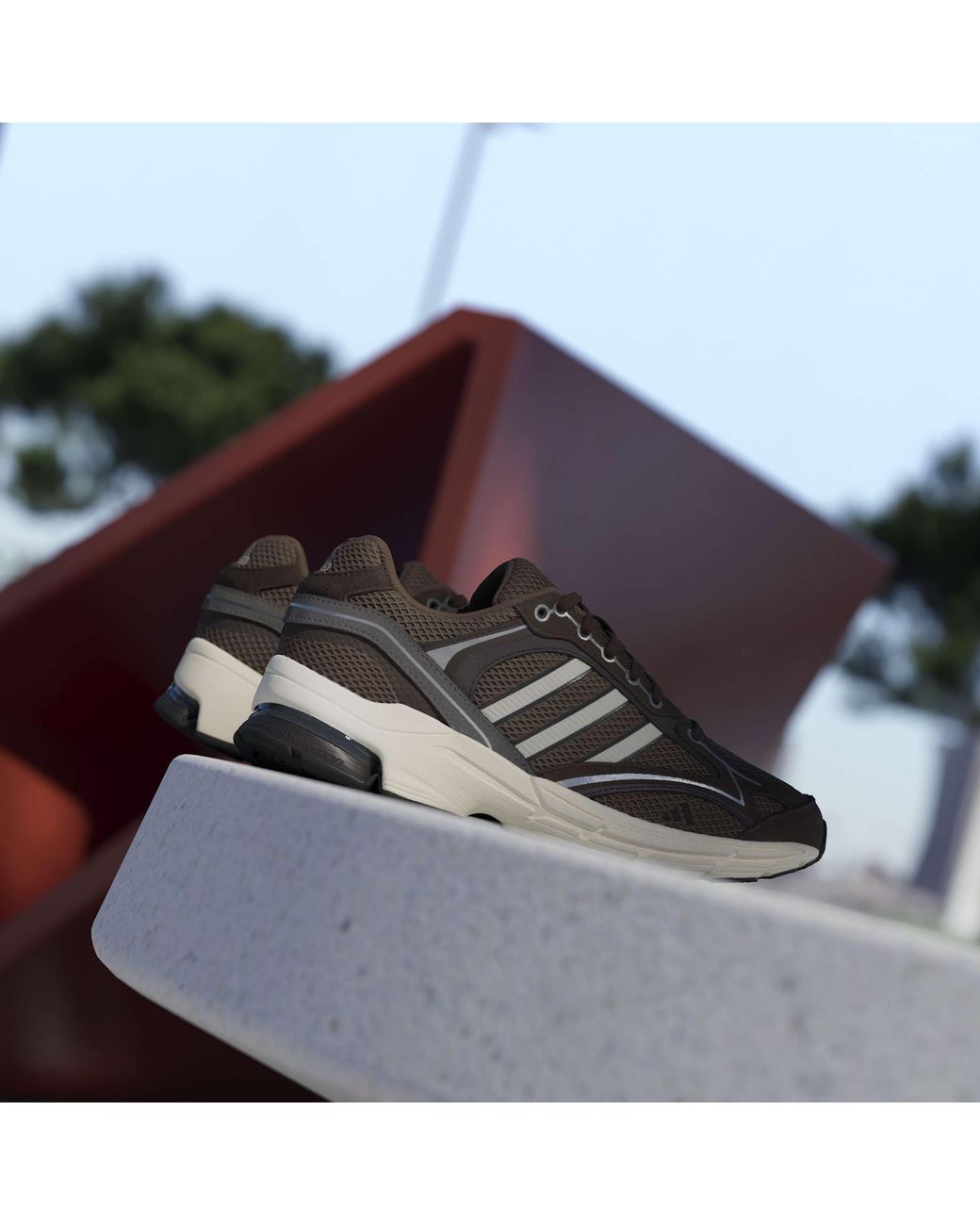 Adidas Brown Spiritain 2000 Trainers