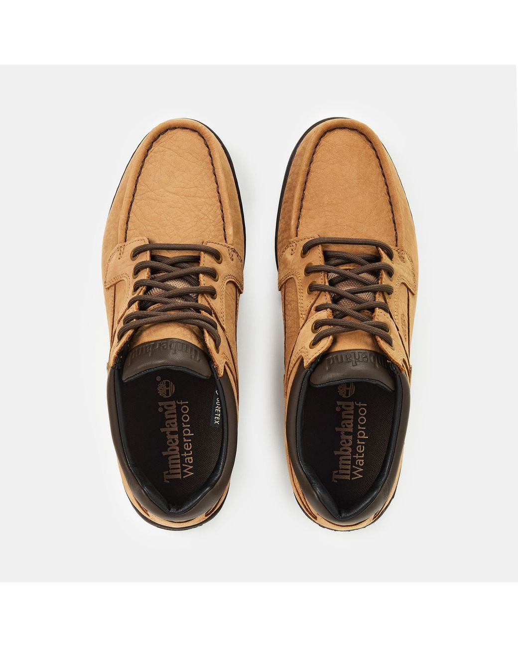 Timberland Brown Larchmont Mid Lace Up Waterproof Ch for men