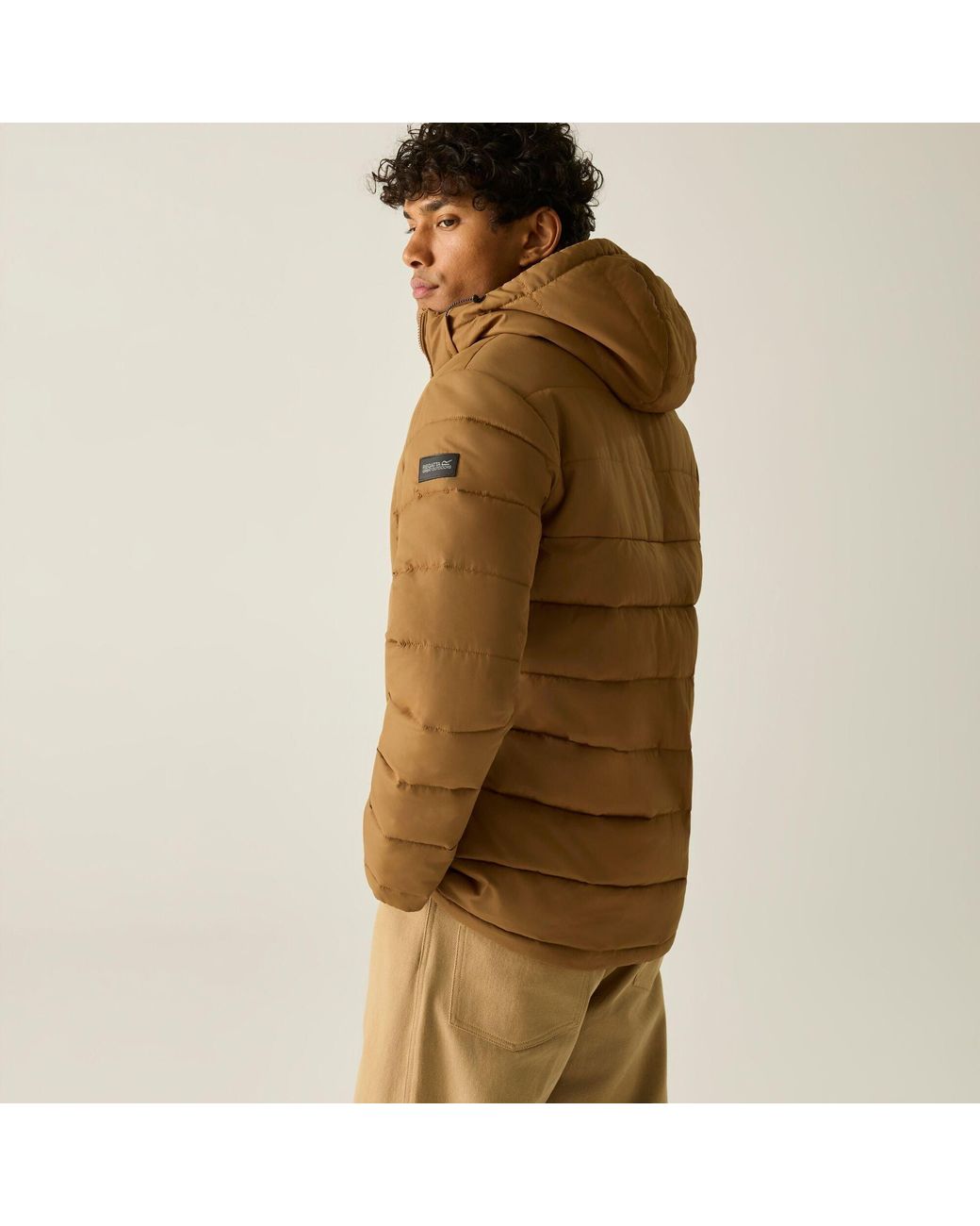 Regatta Brown Frankie Padded Jacket for men