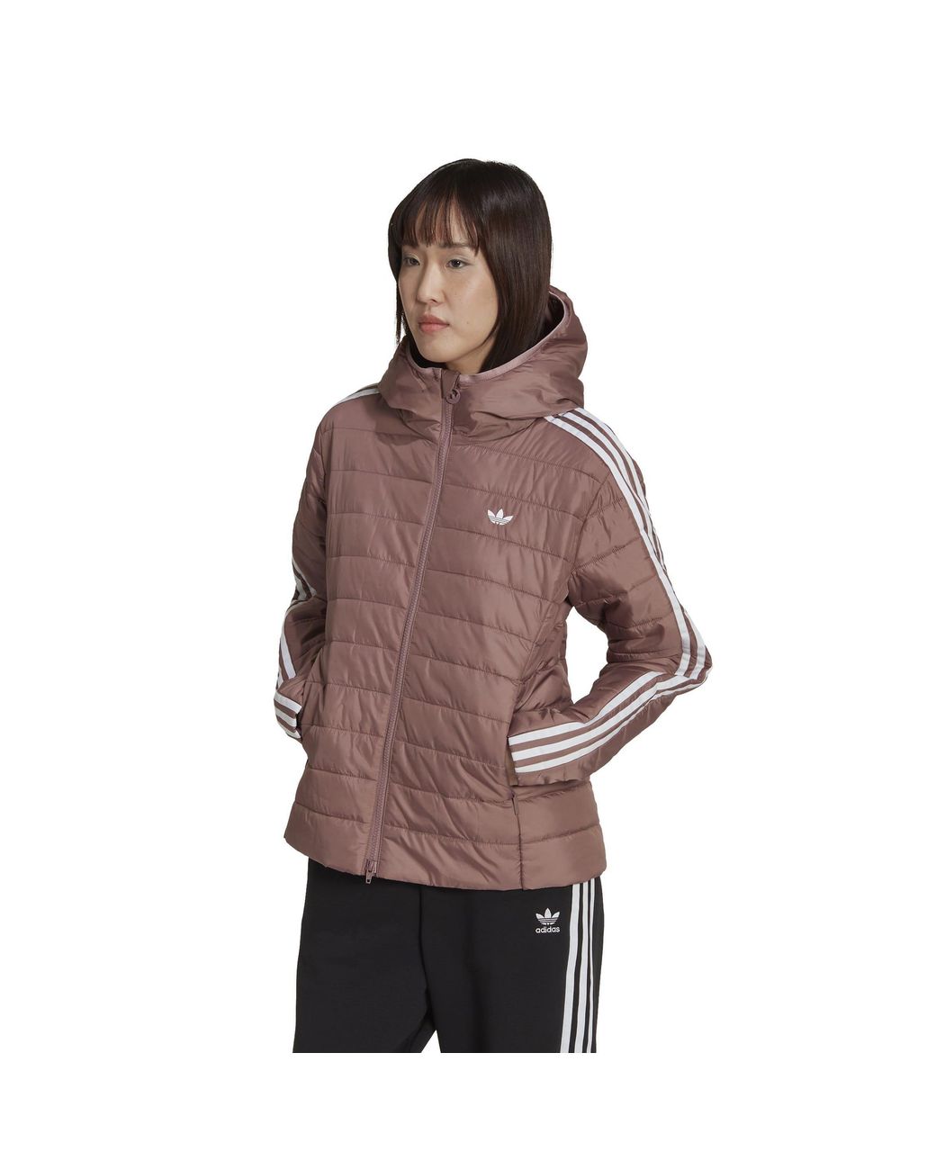 Adidas Originals Brown Premium Slim Hooded Long Sleeve Slim Fit Short Puffer Jacket