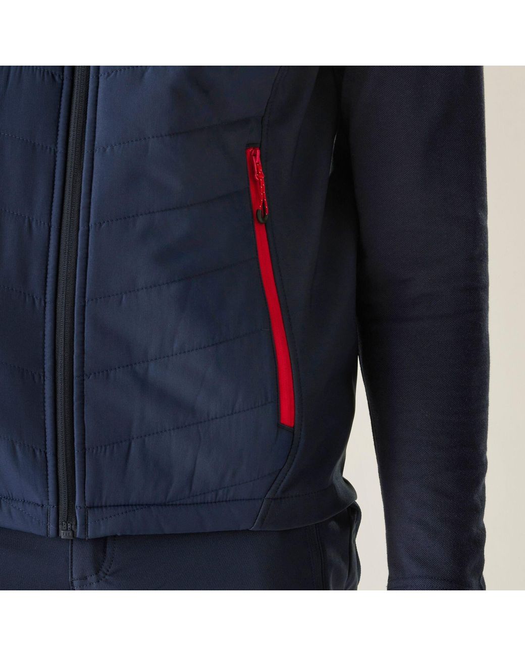 Regatta Blue Pro Universal Bodywarmer for men