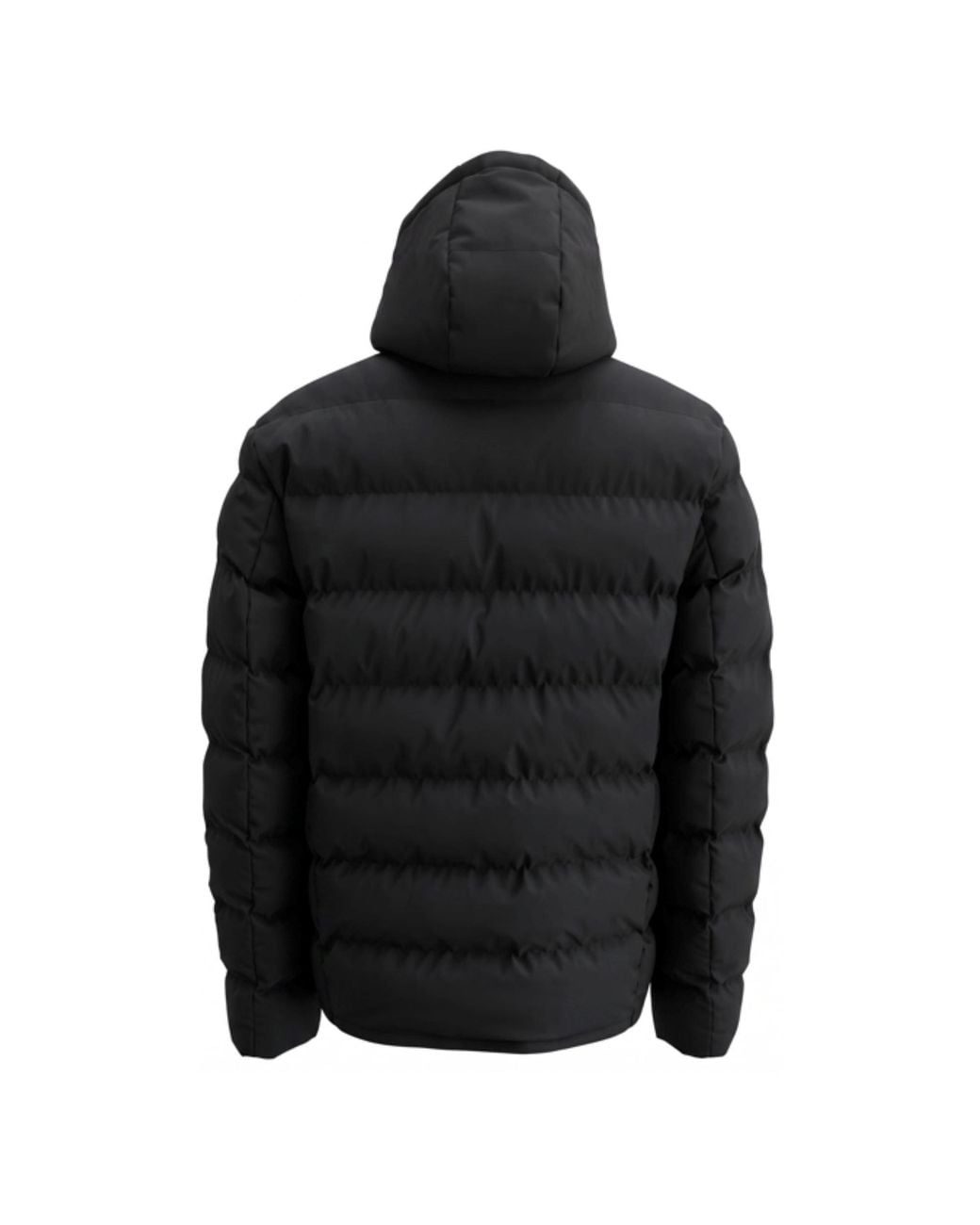 Everlast Black Short Puffer Jackets for men
