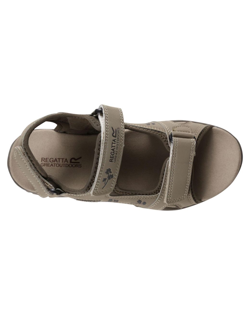 Regatta Brown Haris