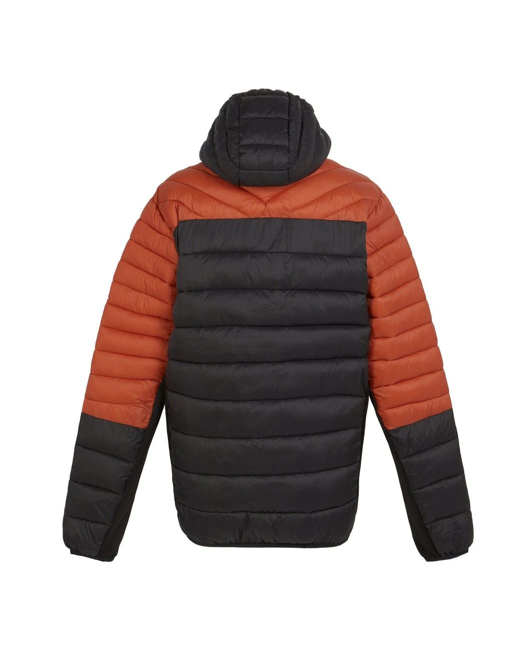 Regatta Red Hoodedleedre for men