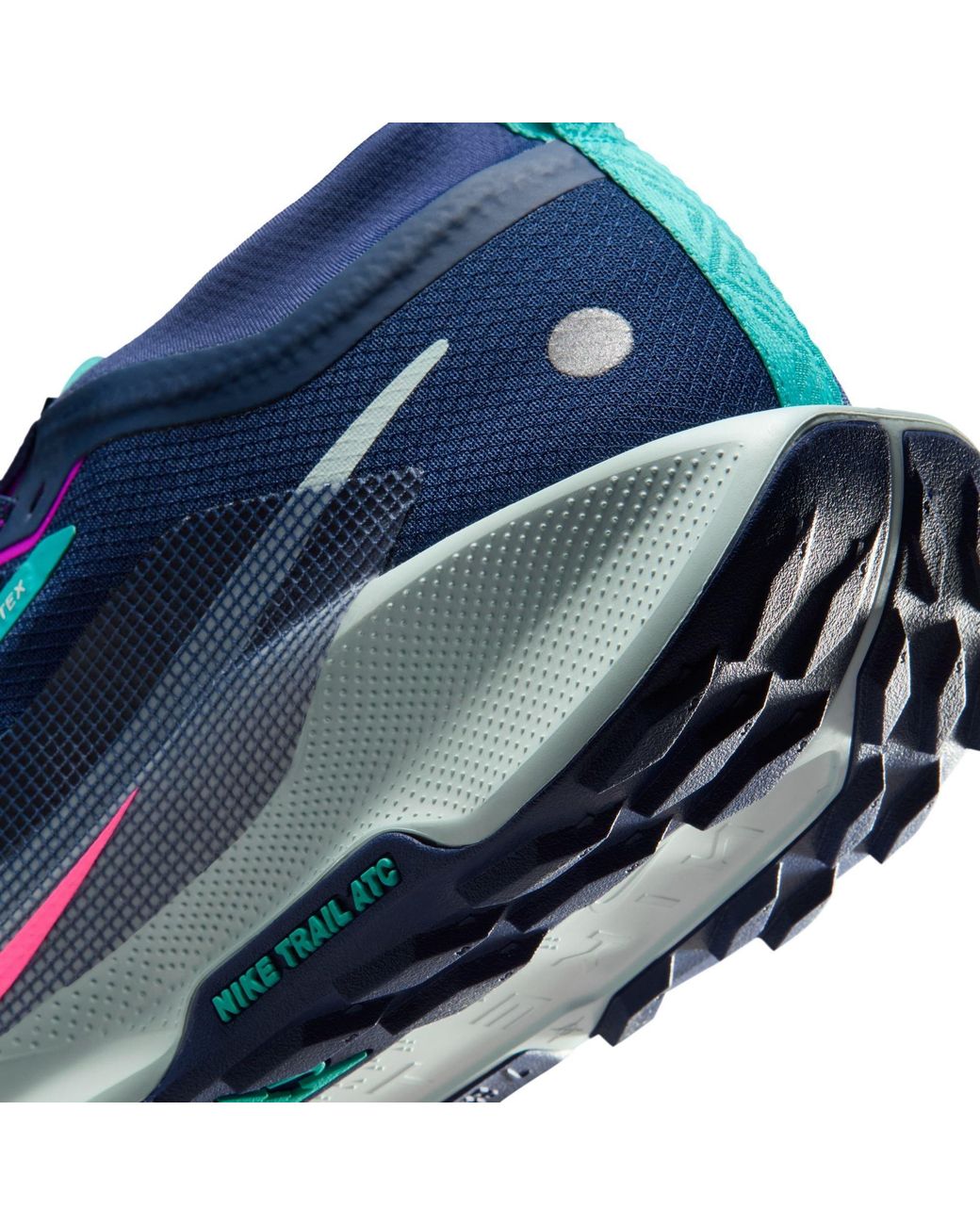 Nike Blue Pegasus Trail 5 Gore-Tex Waterproof Trail Running Shoes for men