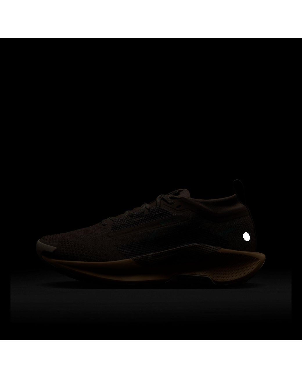 Nike Brown Pegasus Trail 5 Gore-Tex Running Shoes