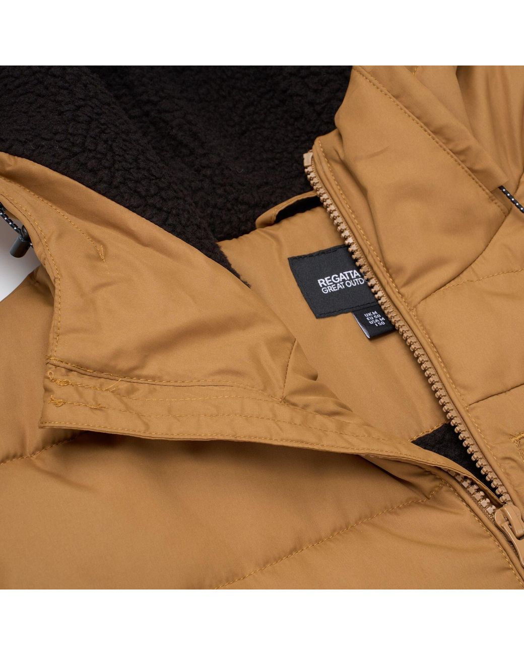 Regatta Brown Frankie Padded Jacket for men
