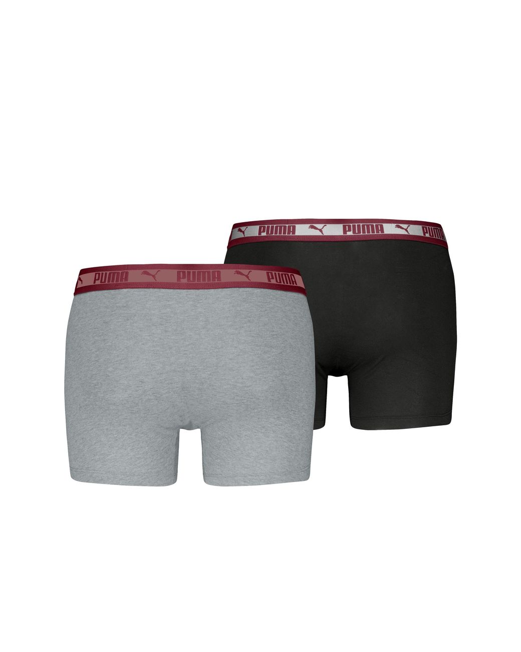 PUMA Gray Chromatic W for men