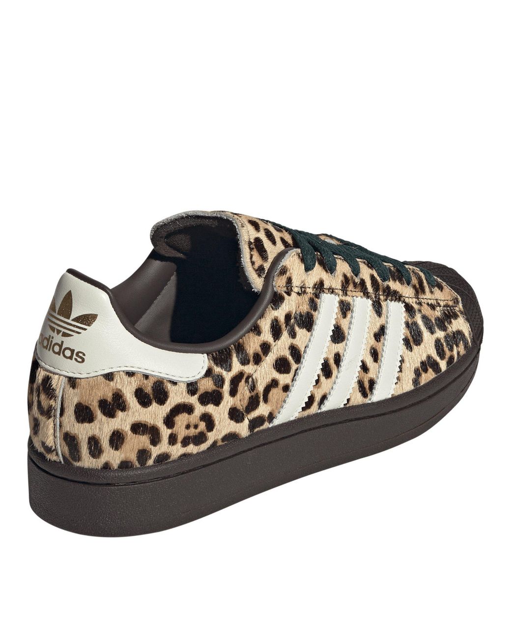 Adidas Brown Superstar Sneakers